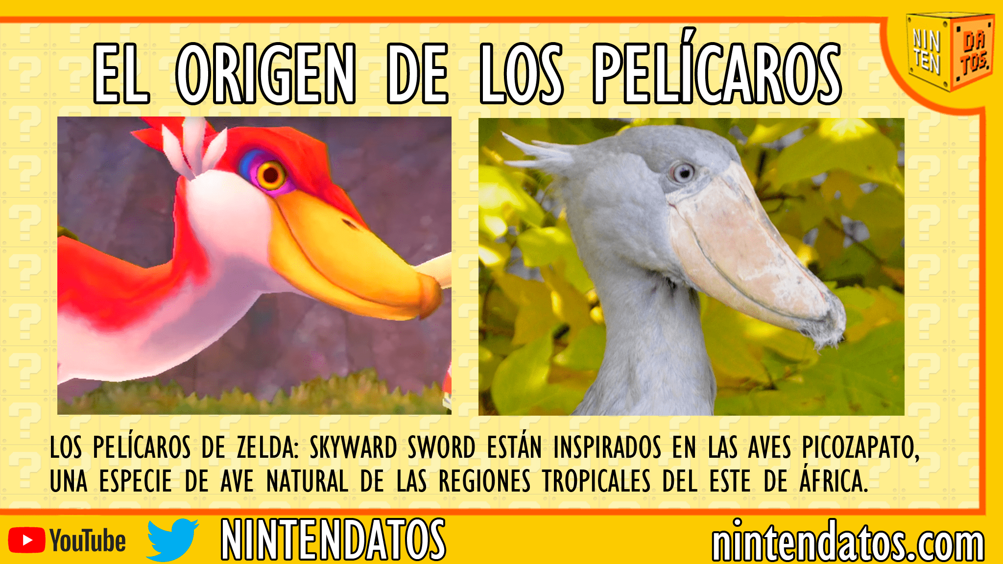 El origen de los pelícaros